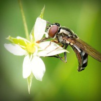 /album/retephaho1980/photolia-a02-jpg/