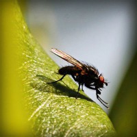 /album/retephaho1980/photolia-a04-jpg/