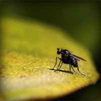 /album/retephaho1980/photolia-a07-jpg/